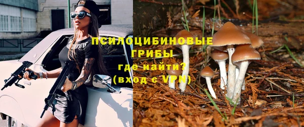 спиды Баксан