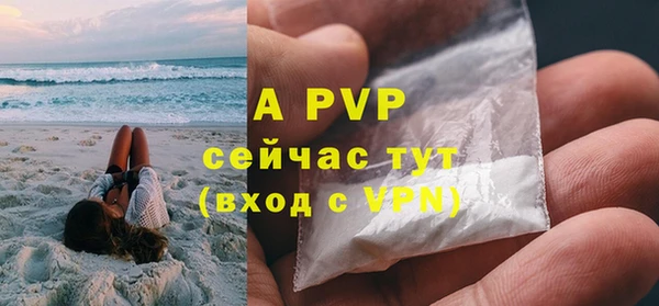 дживик Снежногорск
