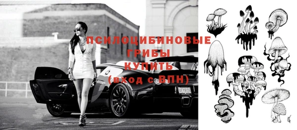 крисы Балахна